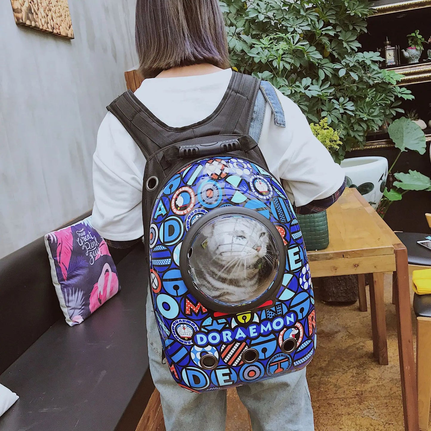 Shoulder capsule cat backbag