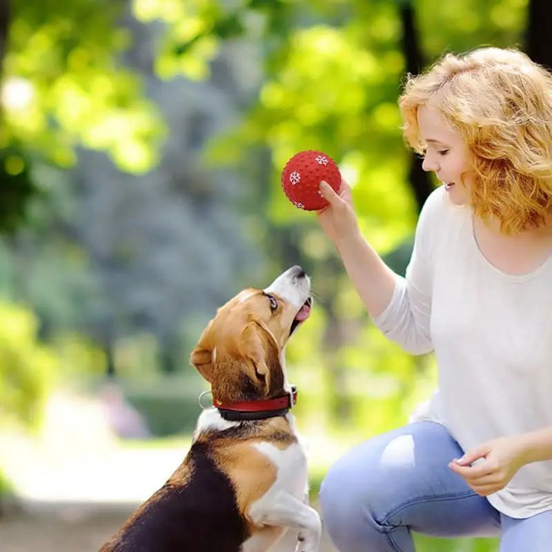 Christmas Dog Ball Toy