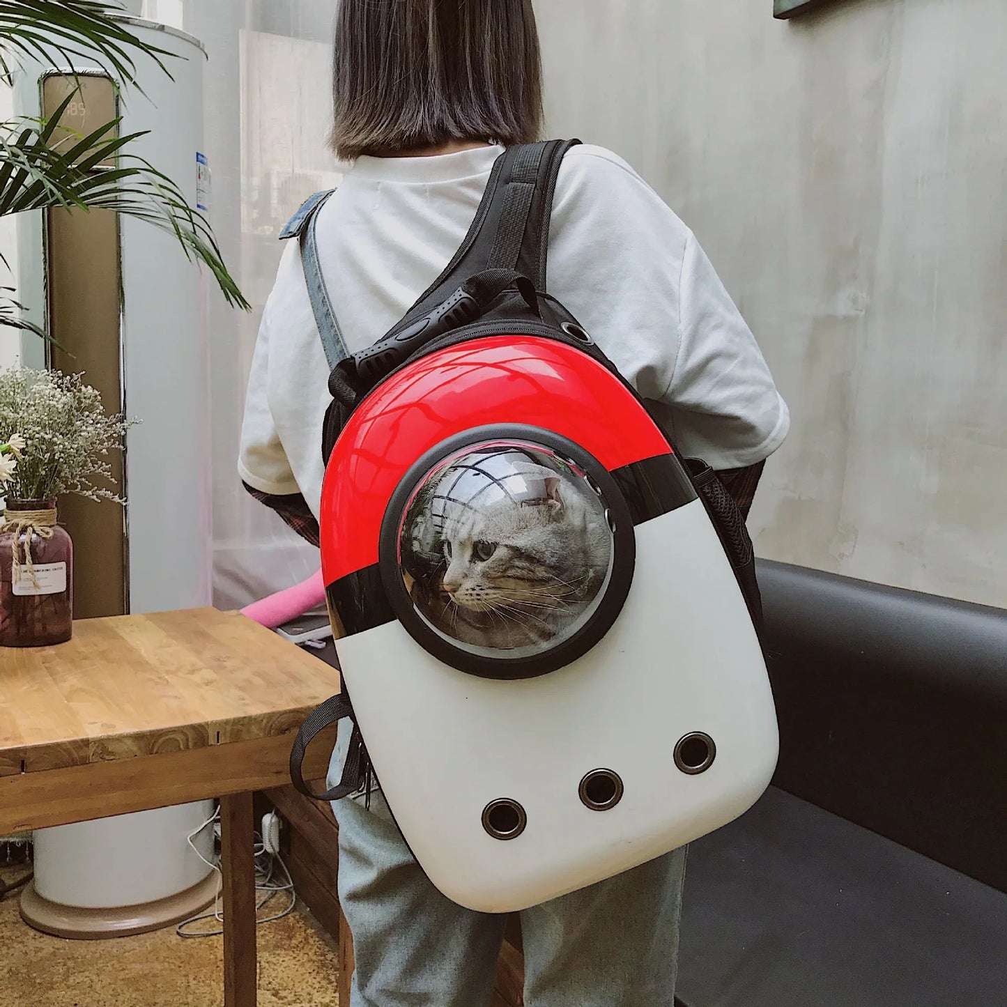 Shoulder capsule cat backbag