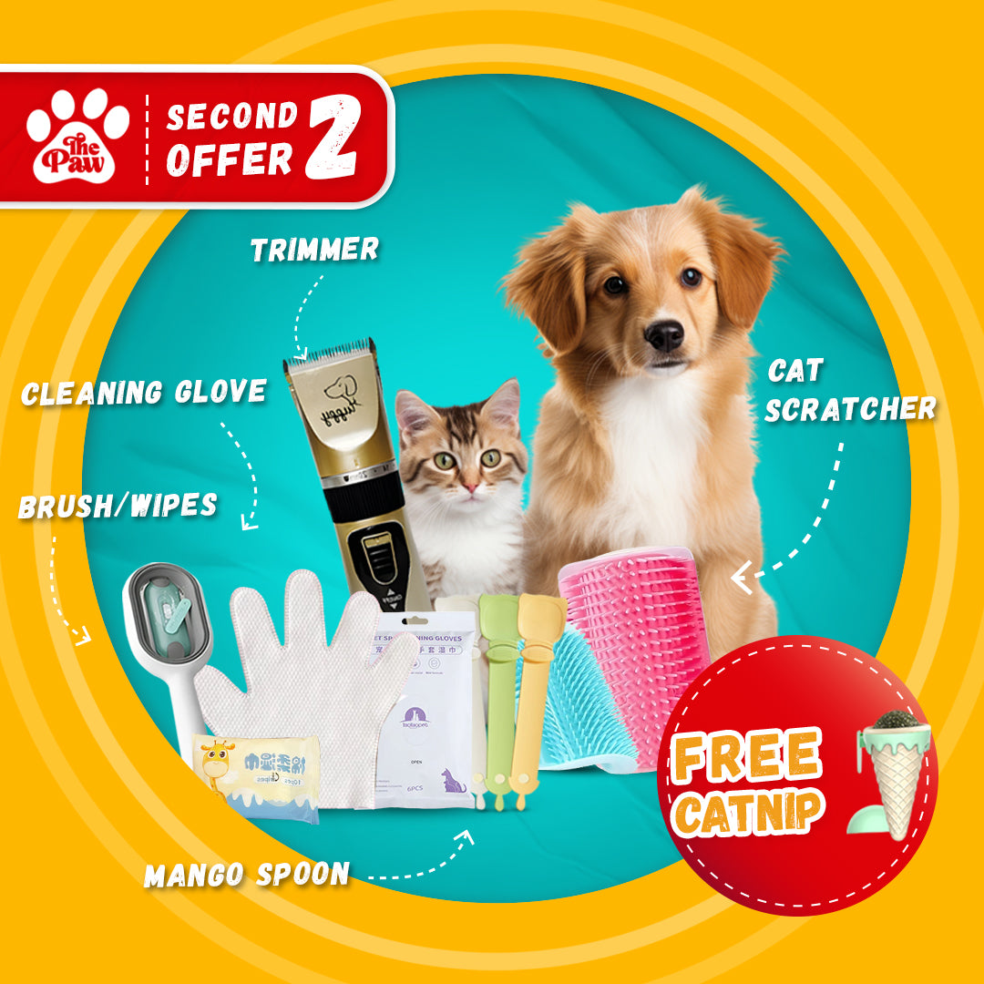 Second Offer: Benefit from 25% Discount on this Cat Bundle