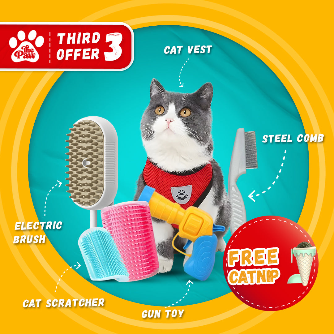 Third Offer: Benefit from 30% Discount on this Cat bundle