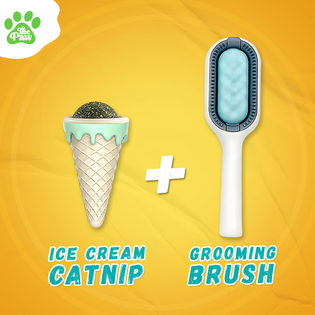 Pet Duo: Brush/Wipes & Catnip herb