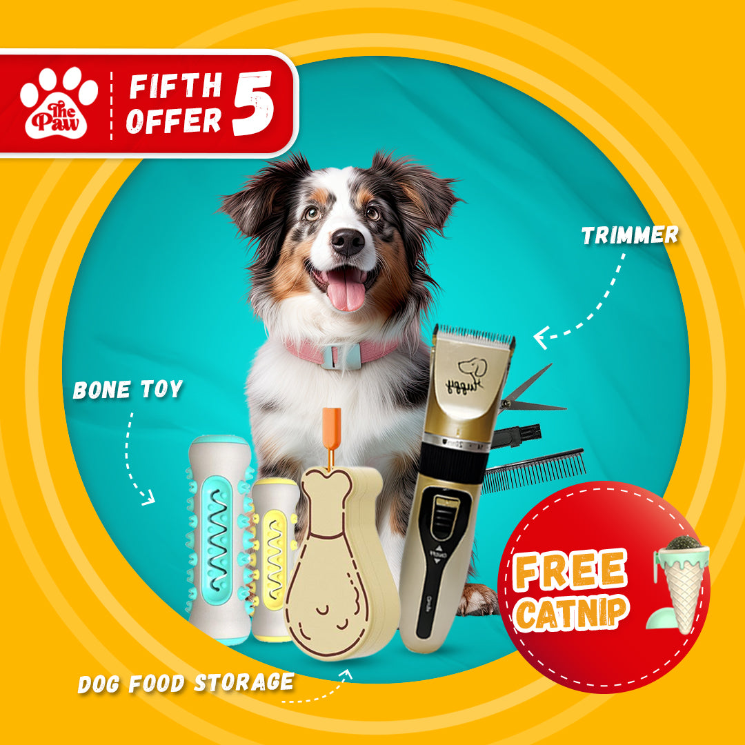 Fifth Offer: Benefit from 25% Discount on this Dog Bundle
