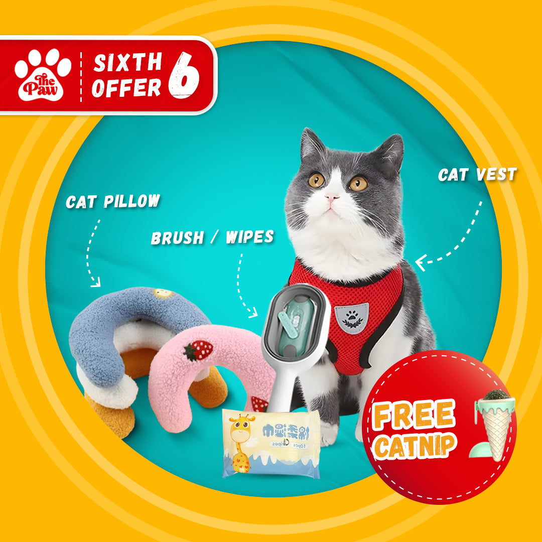 Sixth Offer: Benefit from 40% Discount on this Cat Bundle