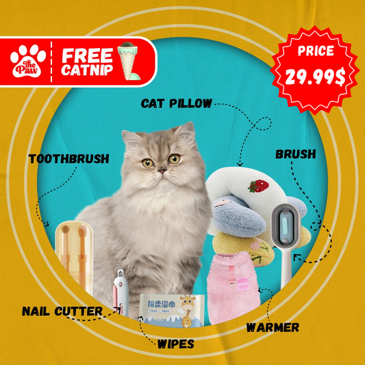 Winter Offer: 40% Discount on this Cat Bundle