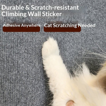 Grey Cat Scratching Mat