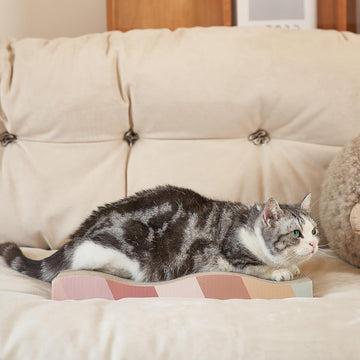 Cardboard Cat Scratcher