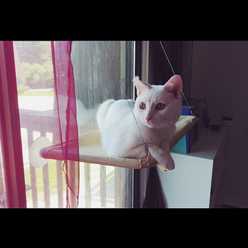 Window-Mounted Cat Hammock