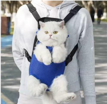 Pet Knapsack