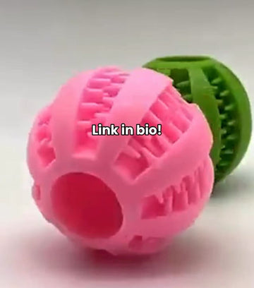 Chew Ball Treat Dispenser Toy