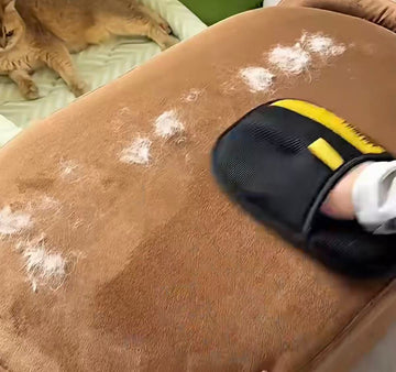 Pet Hair Removal Glove for Furniture & Fabrics
