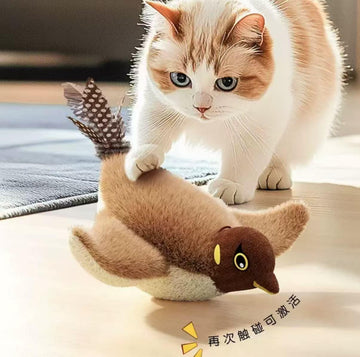 Bird Motion Cat Toy