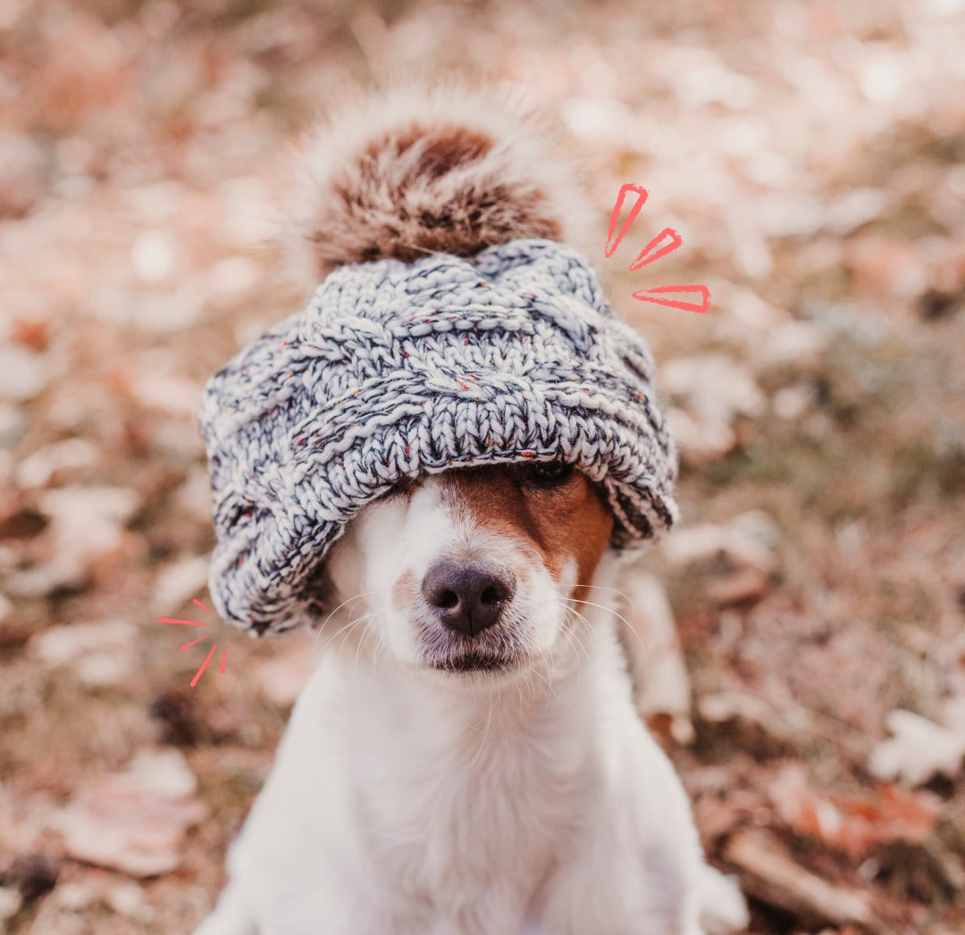 slider image 1621243260e1af0c20-0
