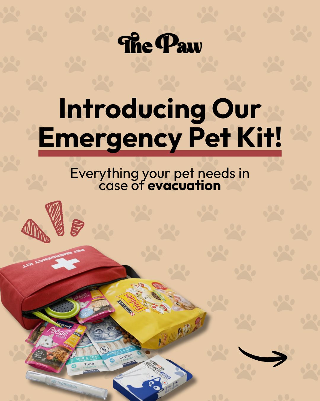 Emergency Kit for Cats