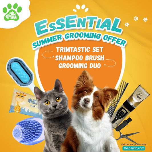 Summer Grooming Offer- Pet Hair Brush, trimer and shampoo brush