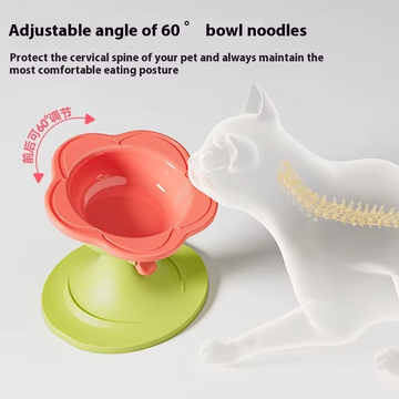Adjustable Tilt & Height Cat Feeding Bowl