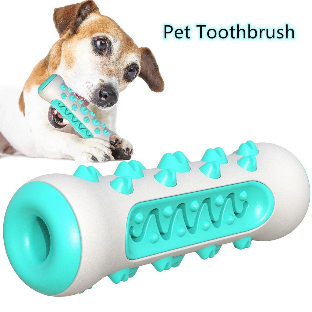 Summer Flash Sale: Dog Bone Toy & Toothbrush