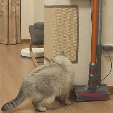 Sofa Corner Cat Scratcher Pad