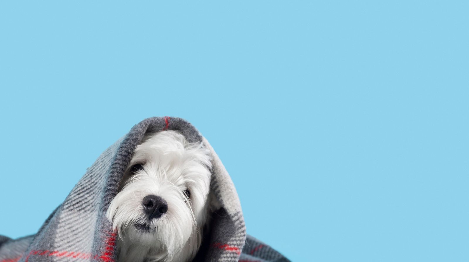 slider image 1621243260e1af0c20-0