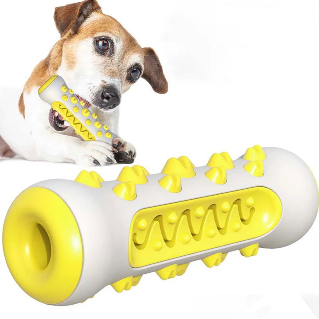 Summer Flash Sale: Dog Bone Toy & Toothbrush